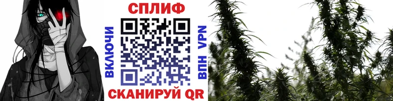 Купить Мирный Кокаин  НБОМе  Гашиш  Меф 