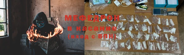 индика Кулебаки