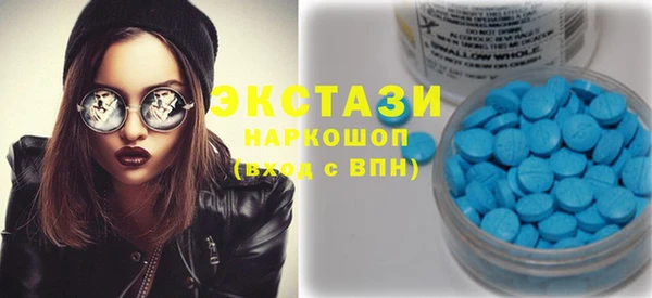 индика Кулебаки