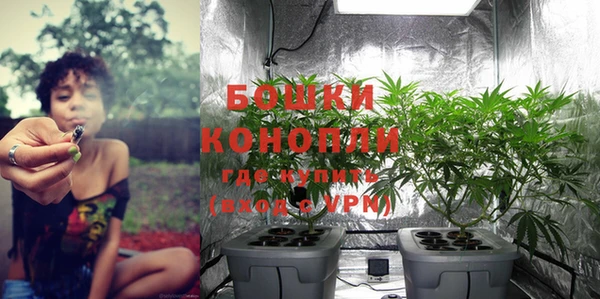 PSILOCYBIN Куйбышев