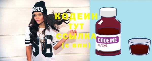 ГАЛЛЮЦИНОГЕННЫЕ ГРИБЫ Богданович