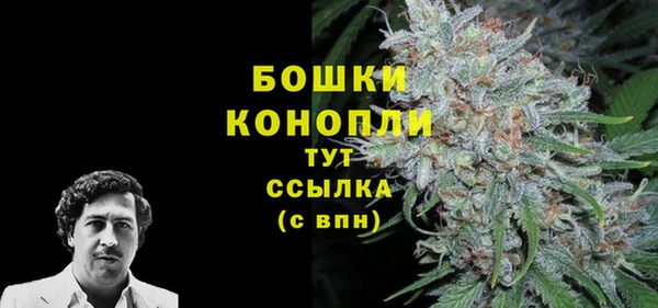 прущие грибы Лагань
