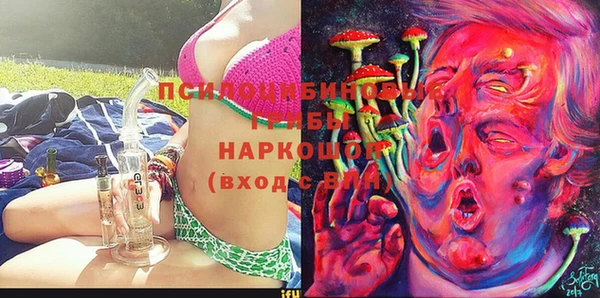 прущие грибы Лагань