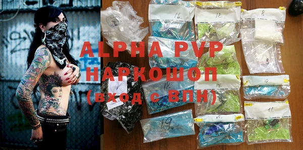 индика Кулебаки