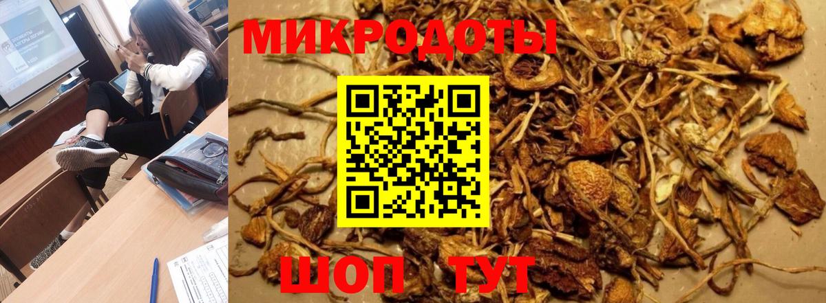 Псилоцибиновые грибы Cubensis Мирный
